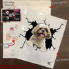 Shih Tzu Crack Decal For Rear Window Wiper Happy Sticker Designs Box Gift
