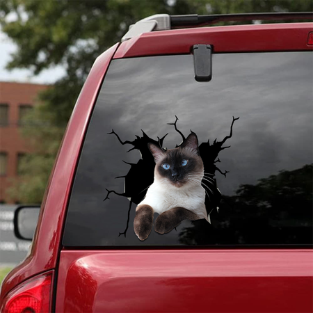 Siamese Cat Crack Sticker Decals Humor Decal Stickers Valentines Day Gifts