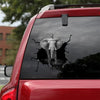 [sk0886-snf-ptd]-elephant-crack-car-sticker-animals-lover