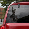 [sk0875-snf-tnt]-black-cat-sticker-cats-lover