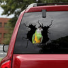 [bv0018-snf-tnt]-african-red-belly-parrot-crack-sticker-birds-lover
