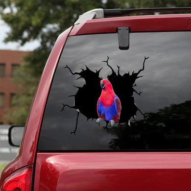 [bv0013-snf-tnt]-eclectus-parrot-crack-sticker-birds-lover