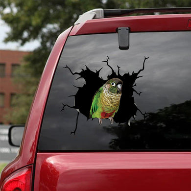 [bv0017-snf-tnt]-green-cheek-conure-parrot-crack-sticker-birds-lover