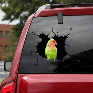 [bv0025-snf-tnt]-parrot-crack-car-sticker-parrot-lover