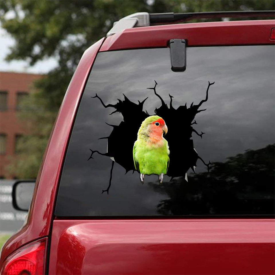 [bv0025-snf-tnt]-parrot-crack-car-sticker-parrot-lover