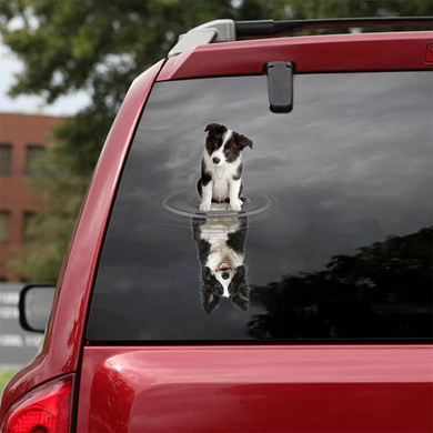 [sk0956-snf-tnt]-border-collie-crack-sticker-dogs-lover