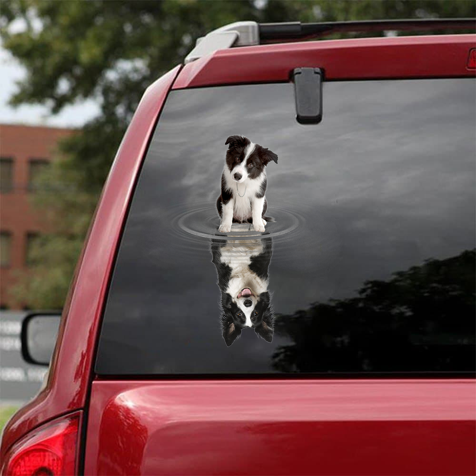 [sk0956-snf-tnt]-border-collie-crack-sticker-dogs-lover