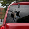 [sk0953-snf-tnt]-dinosaur-crack-sticker-animals-lover