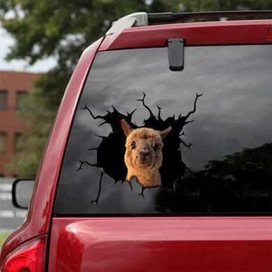 [sk0981-snf-tnt]-alpaca-crack-car-sticker-animals-lover