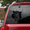 [bv0099-snf-ptd]-poodie-crack-car-sticker-dogs-lover