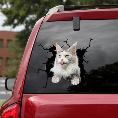 [da0511-snf-tnt]-maine-coon-cat-crack-car-sticker-cats-lover