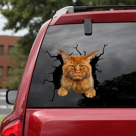 Maine Coon Cat Crack Decal Car A Cute Transparent Sticker Christmas Gifts For Couples