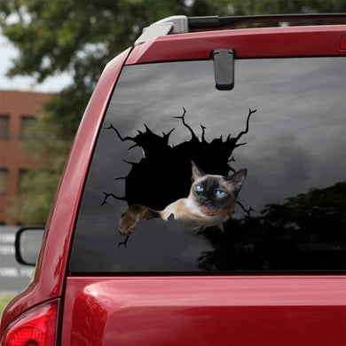 [da0712-snf-tnt]-siamese-crack-car-sticker-cats-lover