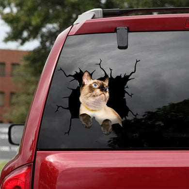 [da0713-snf-tnt]-siamese-crack-car-sticker-cats-lover