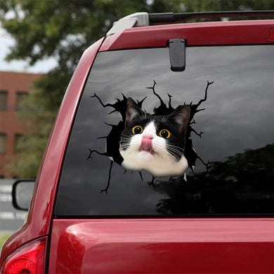 [bv0011-snf-ptd]-tuxedo-cat-crack-sticker-cats-lover