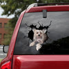 [ld0635-snf-lad]-chinese-crested-crack-car-sticker-dogs-lover
