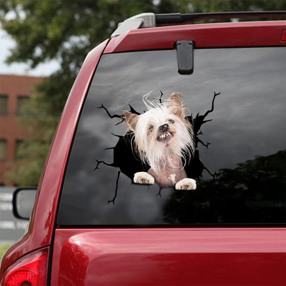 [ld0637-snf-lad]-chinese-crested-crack-car-sticker-dogs-lover