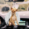 chihuahua-ornament-decorate-car