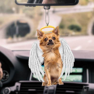 chihuahua-ornament-decorate-car