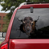 [sk1129-snf-tnt]-bison-cow-crack-sticker-cattle-lover