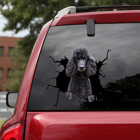 [sk1102-snf-tnt]-black-poodle-crack-car-sticker-dogs-lover