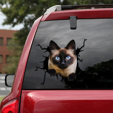 Siamese Cat Crack Sticker Cute Fun Water Bottle Stickers Box Gift
