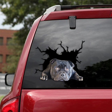 Staffordshire Bull Terrier Crack Decal For Car Window Funny Pictures Custom Window Decals Birthday Gift For Sister