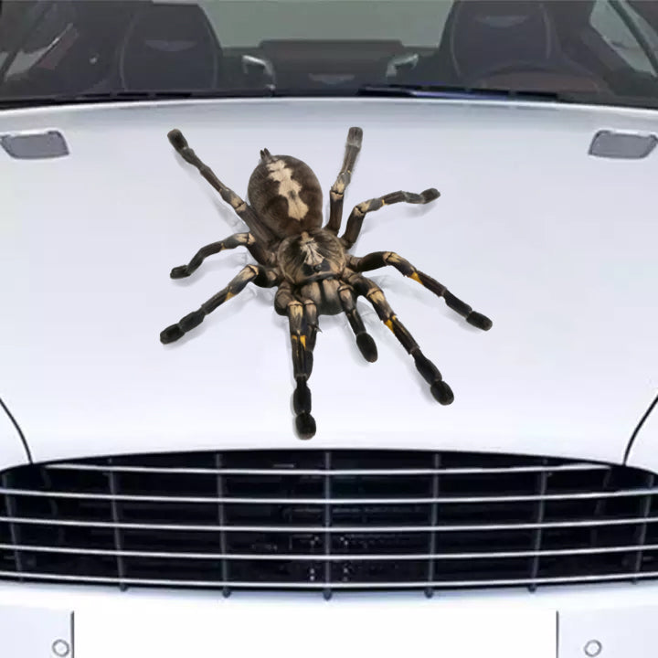 Giant Spider 3d Crack Decal Items Lovable Die Cut Stickers Best Mother's Day Gifts