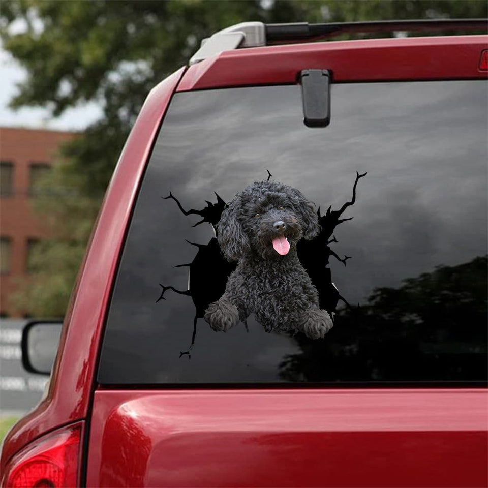[da0533-snf-tpa]-toy-poodle-crack-car-sticker-dogs-lover