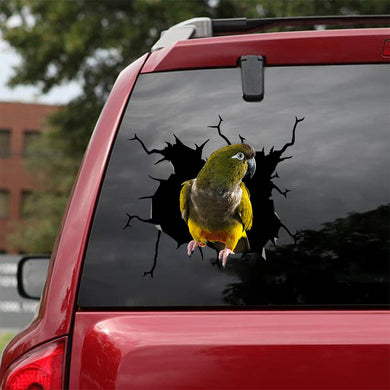 [bv0060-snf-tnt]-parrot-crack-car-sticker-parrot-lover