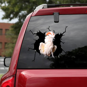 [bv0061-snf-tnt]-parrot-crack-car-sticker-parrot-lover