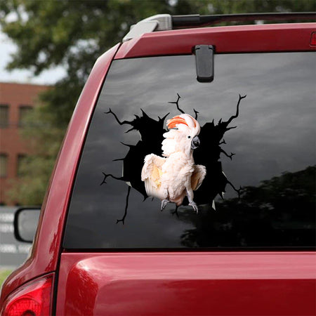 [bv0061-snf-tnt]-parrot-crack-car-sticker-parrot-lover