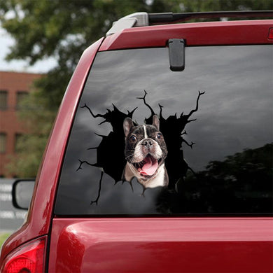 [sk1079-snf-lad]-funny-french-bulldog-crack-sticker-dogs-lover