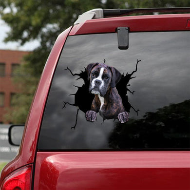 [ld0661-snf-lad]-boxer-crack-car-sticker-dogs-lover