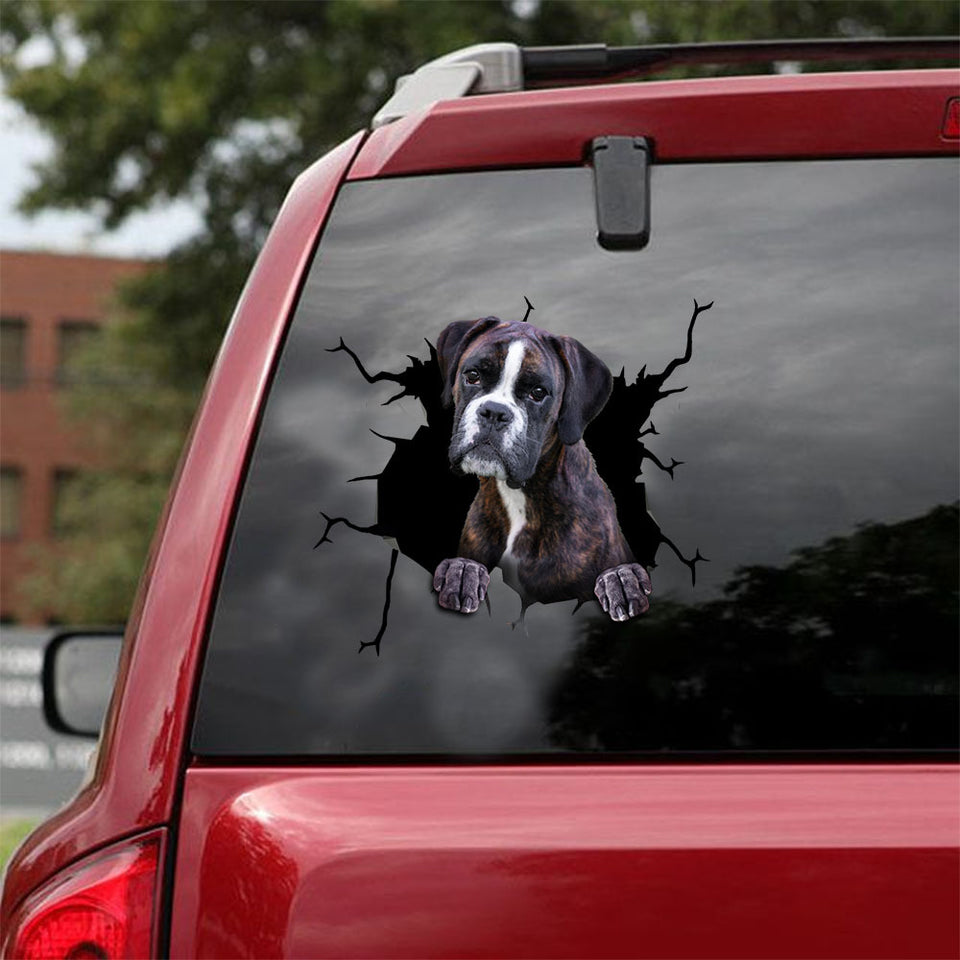[ld0661-snf-lad]-boxer-crack-car-sticker-dogs-lover