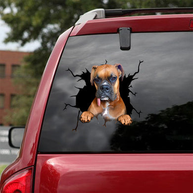 [ld0662-snf-lad]-boxer-crack-car-sticker-dogs-lover