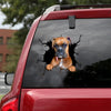 [ld0662-snf-lad]-boxer-crack-car-sticker-dogs-lover
