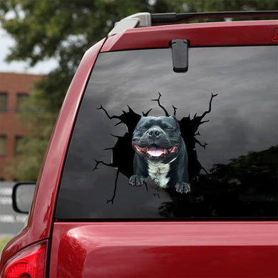 [sk1246-snf-tpa]-pitbull-crack-sticker-dogs-lover