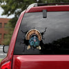 [sk1241-snf-tpa]-turkey-crack-sticker-poultry-lover
