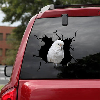 [bv0072-snf-tnt]-parrot-crack-car-sticker-birds-lover