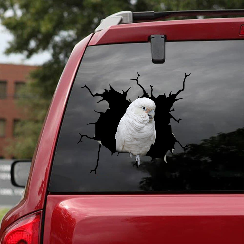 [bv0072-snf-tnt]-parrot-crack-car-sticker-birds-lover