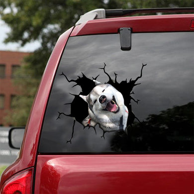 [sk1189-snf-lad]-husky-sibir-crack-sticker-dogs-lover