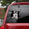 [sk1187-snf-lad]-husky-sibir-crack-sticker-dogs-lover