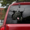 [ld0153-snf-lad]-bouvier-des-flandres-crack-car-sticker-dogs-lover