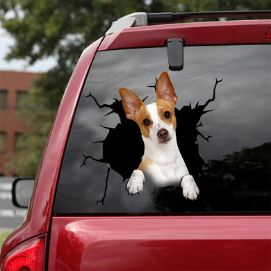 [ld0168-snf-lad]-rat-terrier-crack-car-sticker-dogs-lover