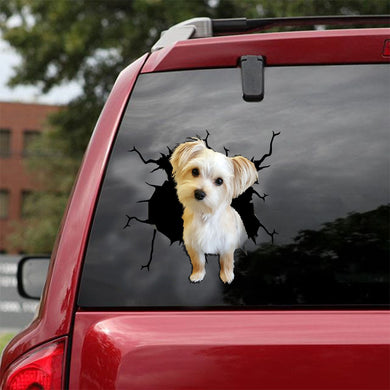 [ld1066-snf-lad]-morkie-crack-car-sticker-dogs-lover