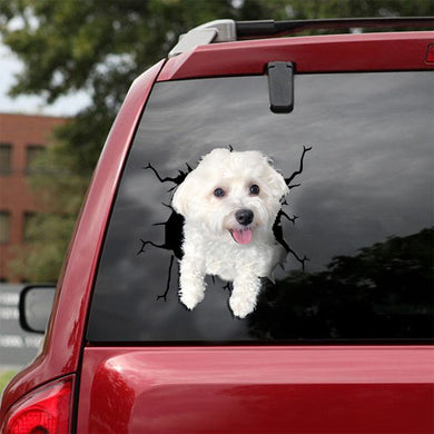 [ld1070-snf-lad]-morkie-crack-car-sticker-dogs-lover