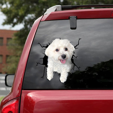 [ld1070-snf-lad]-morkie-crack-car-sticker-dogs-lover