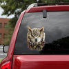[sk0383-snf-tnt] Owl Car Sticker Animals Lover - Camellia Print