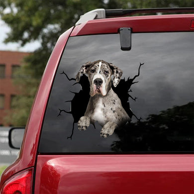 [da0931-snf-tnt]-great-dane-crack-car-sticker-dogs-lover